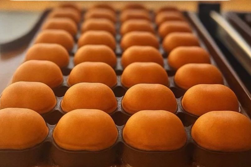 取り扱い食品
