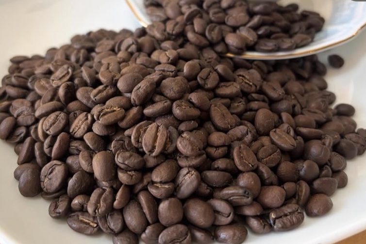 作り人の顔写真